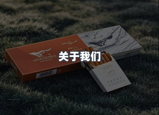 专业团队